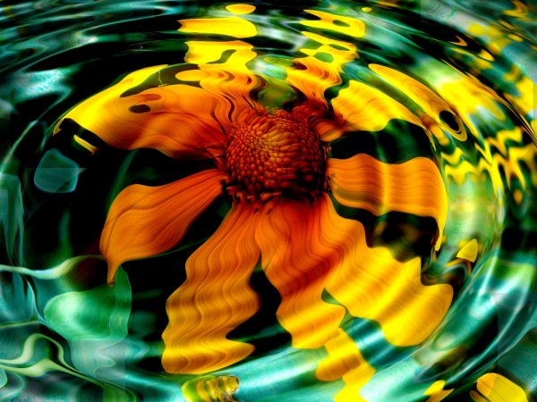 Image (7)