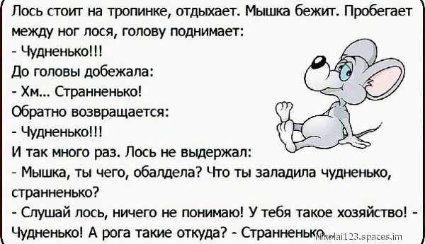 file_93028152