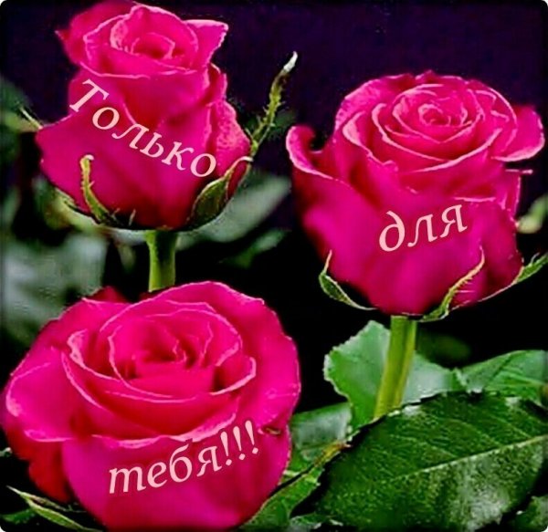 IMG 20220519 214213
