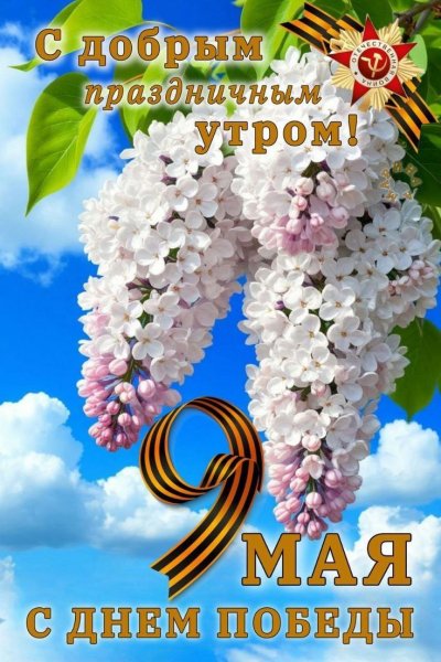IMG 20250509 055919 640