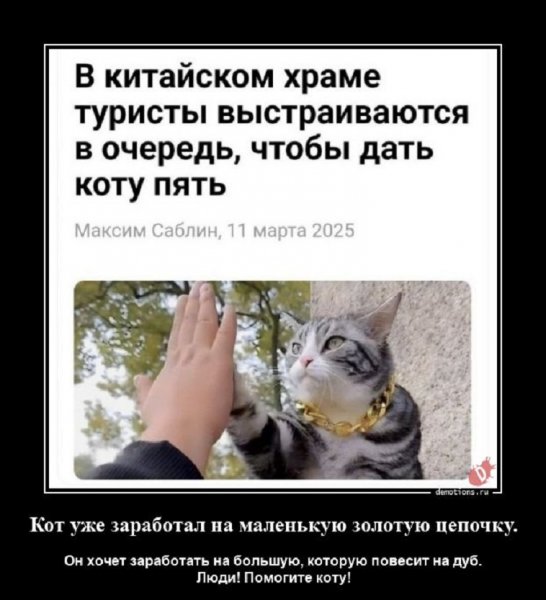 Помогите коту