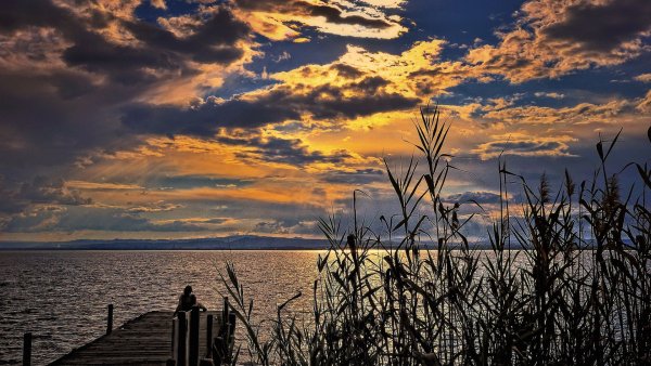 file_79362618