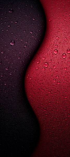 adapted 1080x2408 1785328417