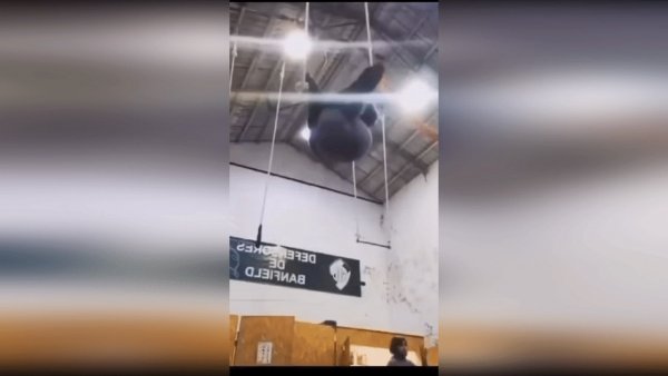 Упс