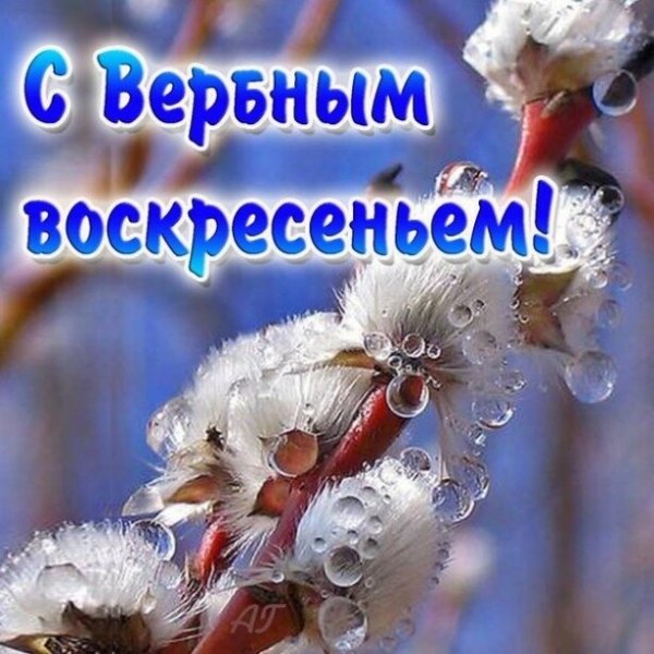 IMG 20210425 160952