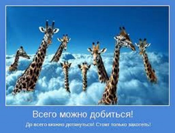 Всего можно добиться. До всего можно дотянуться