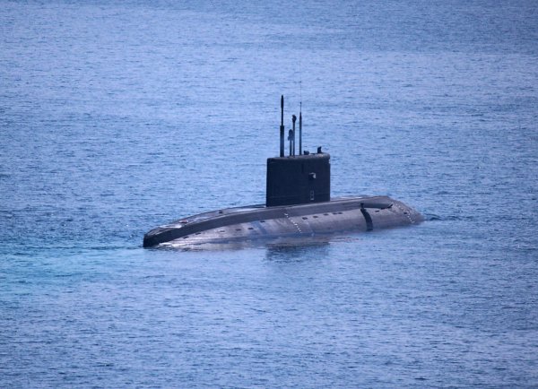 IMG viter59 204030