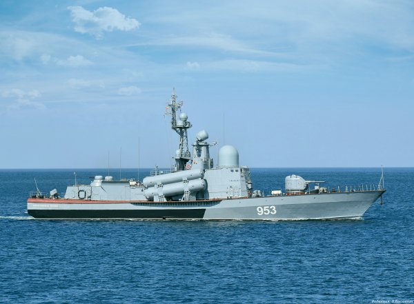 IMG viter59 155702