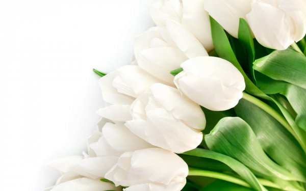Image (27)