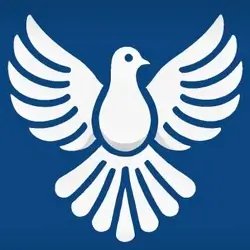 ByeByeDPI. v1. 4. 10