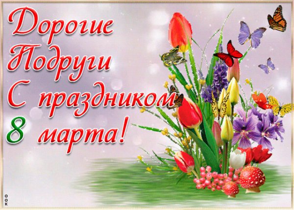 image (53)