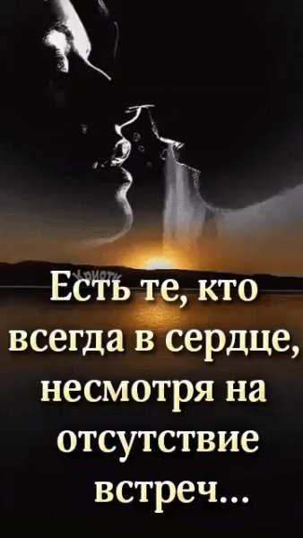 IMG 20241113 193919