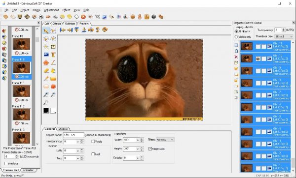 EximiousSoft GIF Creator 5. 70