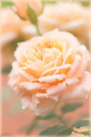 file_92193703