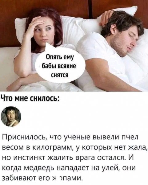 file_103331759