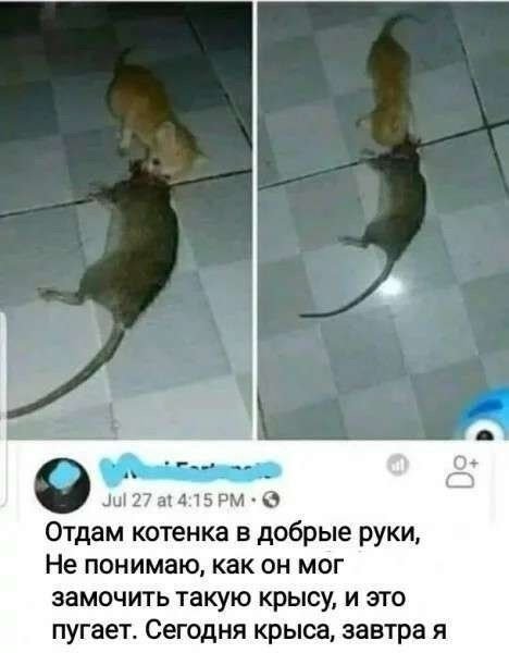 IMG 20260826 222302 661