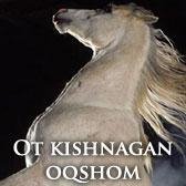 Ot kishnagan oqshom