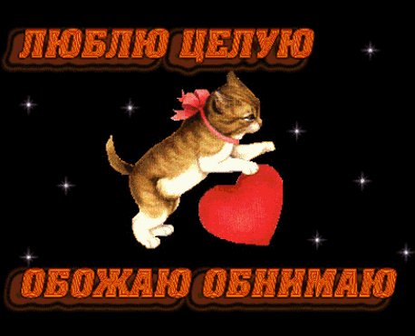 Люблю. целую