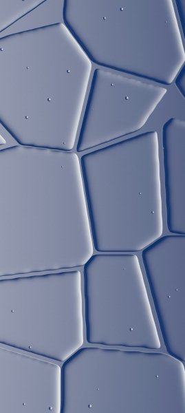 adapted 1080x2408 1780319415