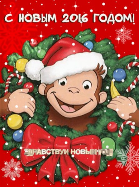 Об. 2016г