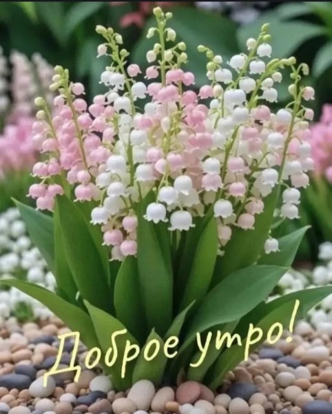 IMG 20260423 093012