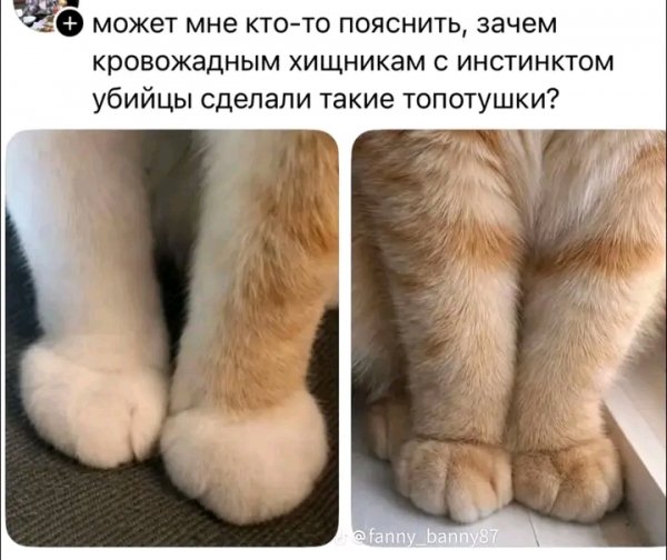 file_103488350