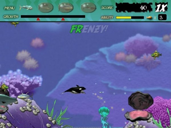 Feeding Frenzy