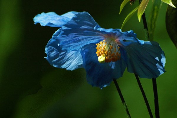 Img (42)