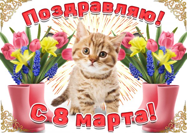 Файл #84455914