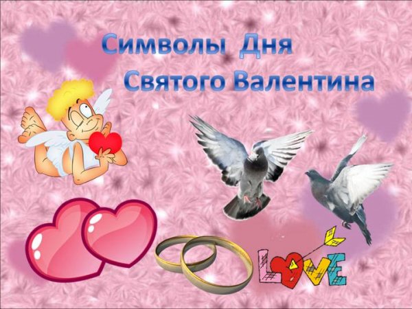 file_81205950