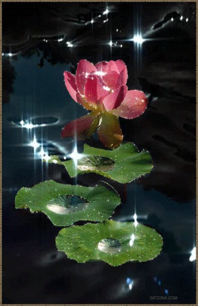 file_73496652