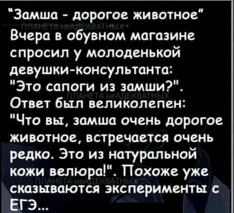 file_101606715