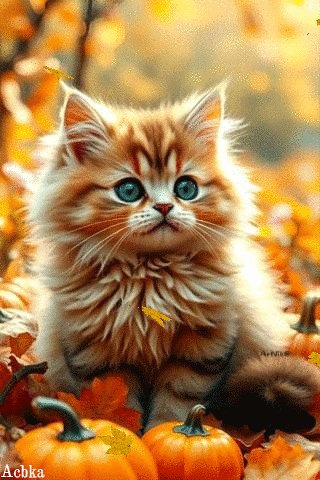 Файл #101062128