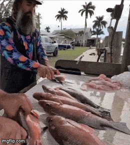 Ф. Фьюить