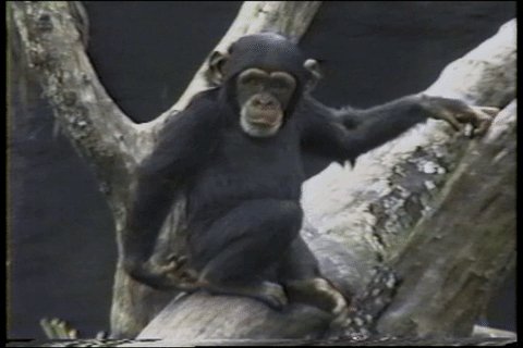 gif 1488054110