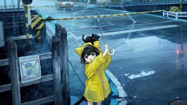 file_92049076