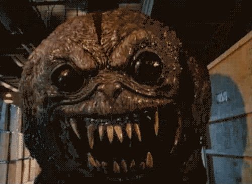 giphy. gif. cf(1)