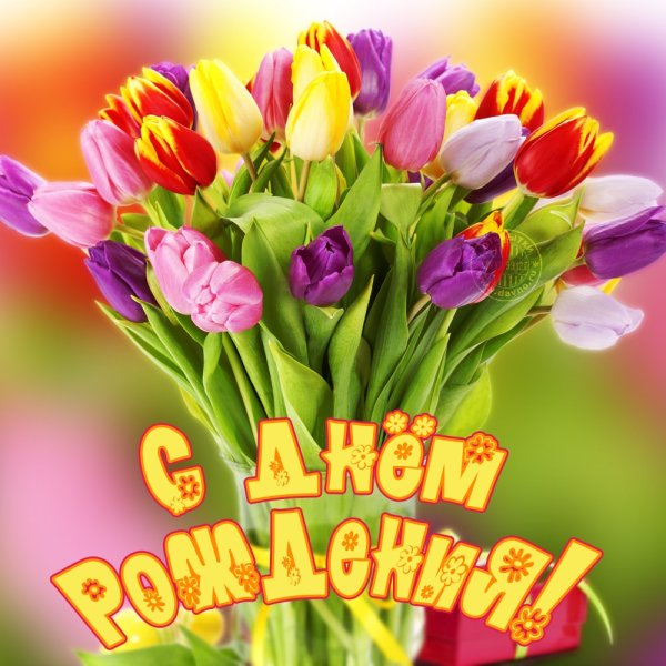 С днём рождения!