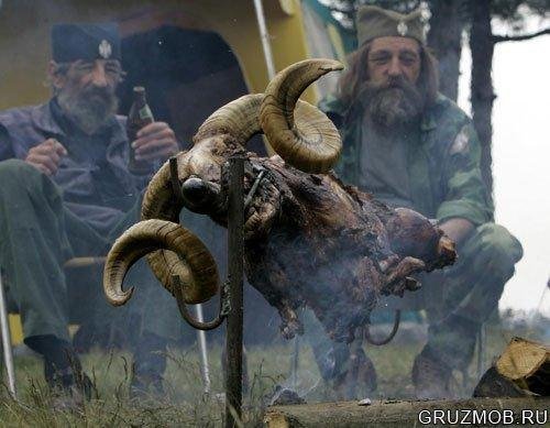 Chintulov Stani, stani iu - D. Chintulov Stani, stani iunak balkanski