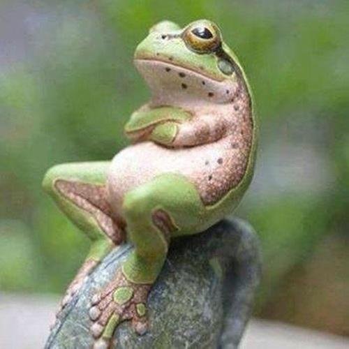 Квакушка - Квакушка