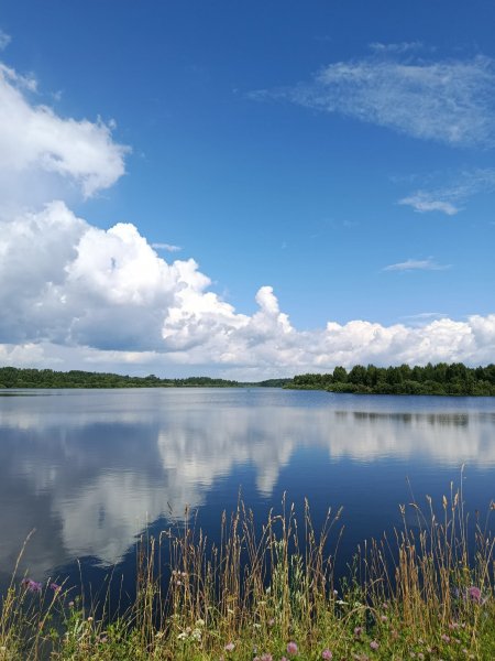 picture_416505183