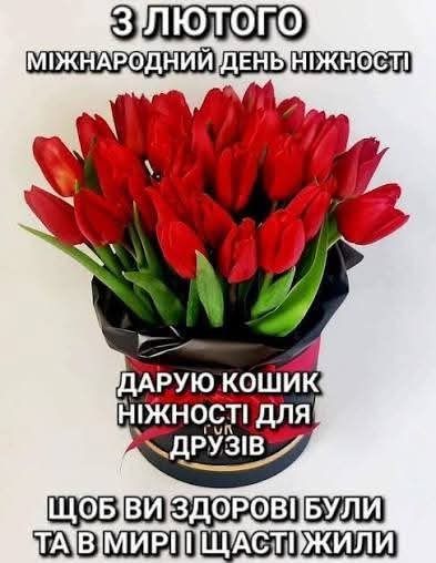02-03