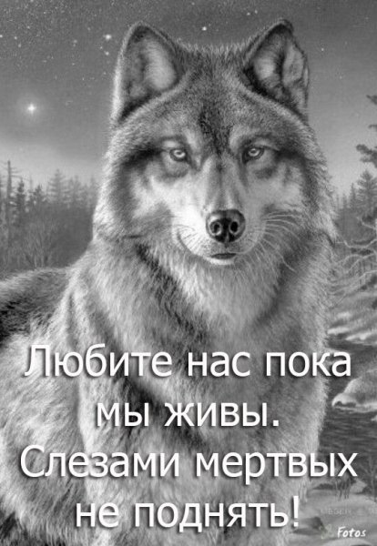 IMG 20200628 002101