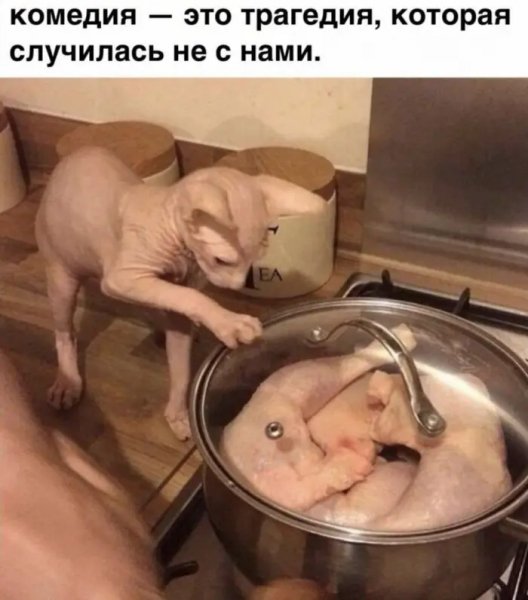16 savepic 15261325072026 23