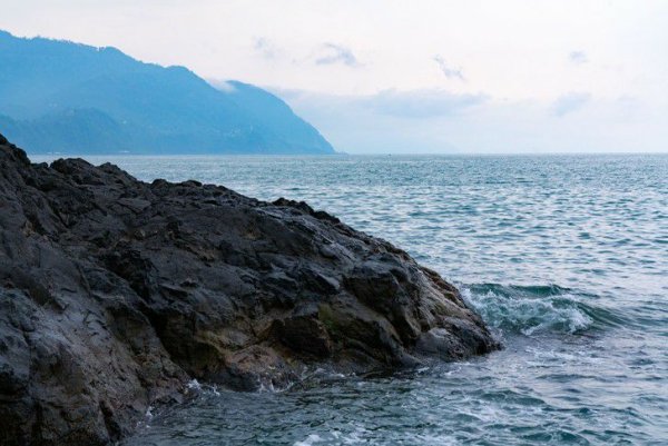 Почему на Черном море нет приливов и отливов?