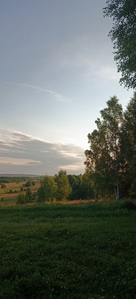 picture_398897017