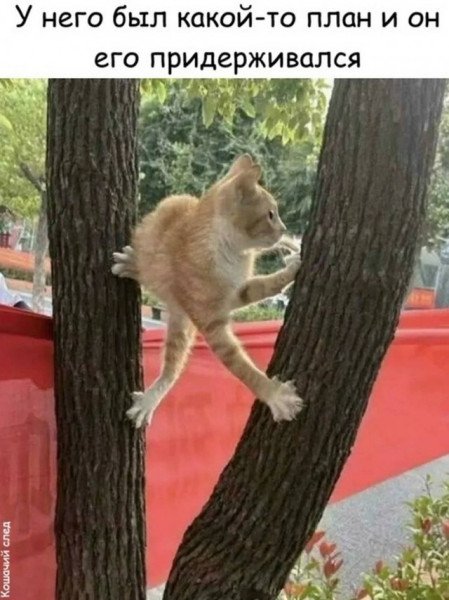 КотЭ)