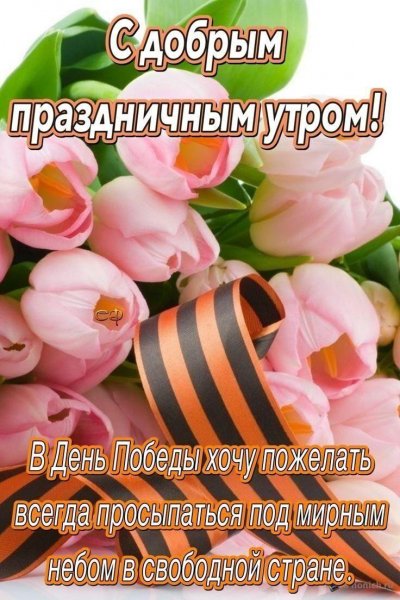 IMG-20220509-WA0004