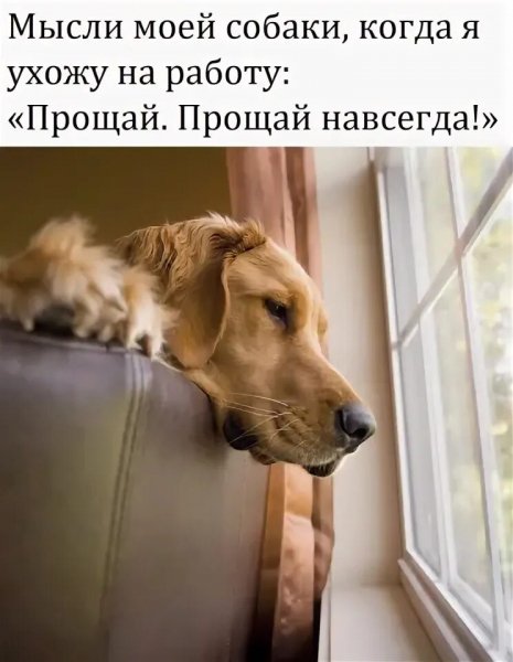 Прощай навсегда!