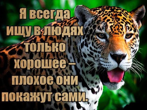picture_211576999